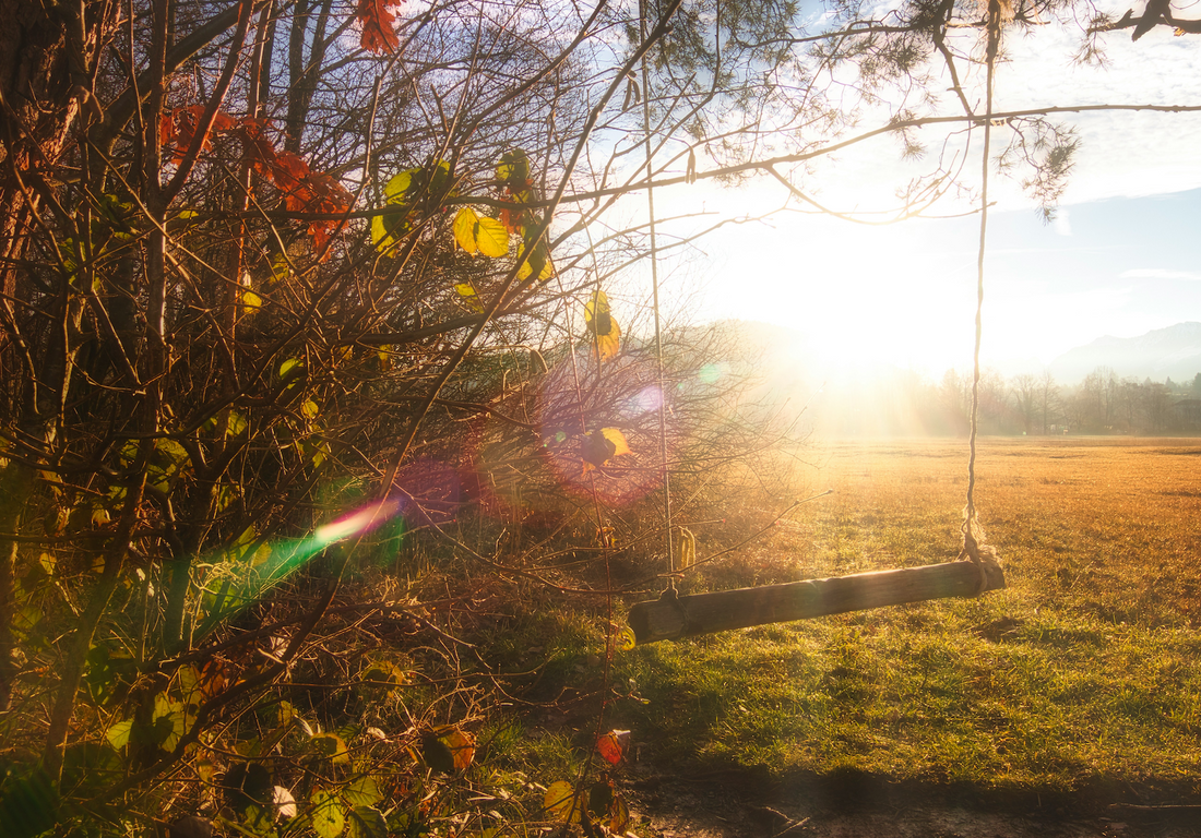 Nachhaltigkeit im Garten